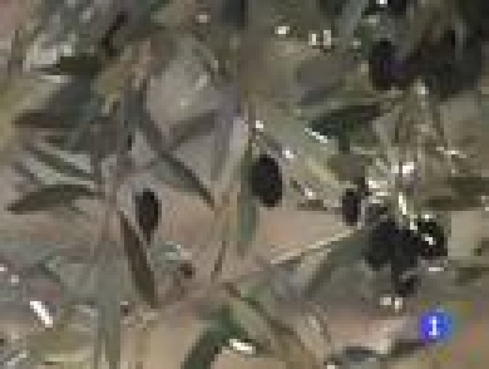 Se ha discutido en Bruselas cómo se financiará a los agricultores y ganaderos europeos desde el 2014 al 2020