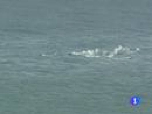 Telediario 1 - El Hierro en vilo