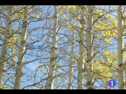 Noticias de Castilla y León - El tiempo en Castilla y León - 15/11/11