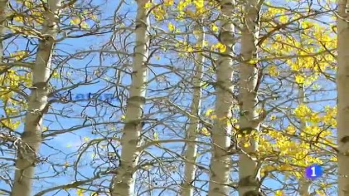 Telexornal - Galicia - El tiempo en Galicia - 15/11/11