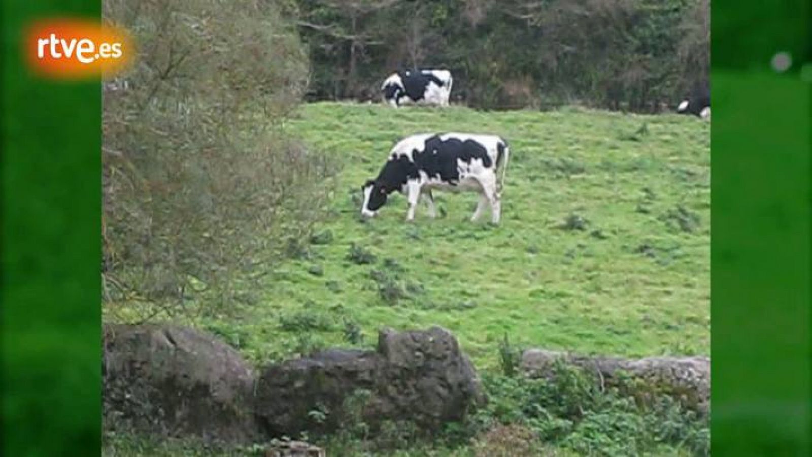 'Nómadas' en el centro de Irlanda