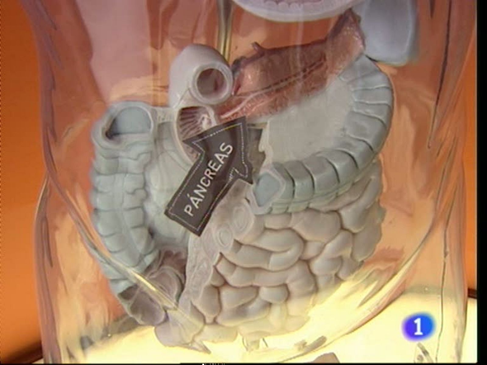 Noticias Aragón - 14/11/11 | Ver