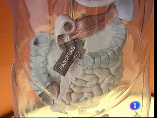 Noticias Aragón - Noticias Aragón - 14/11/11