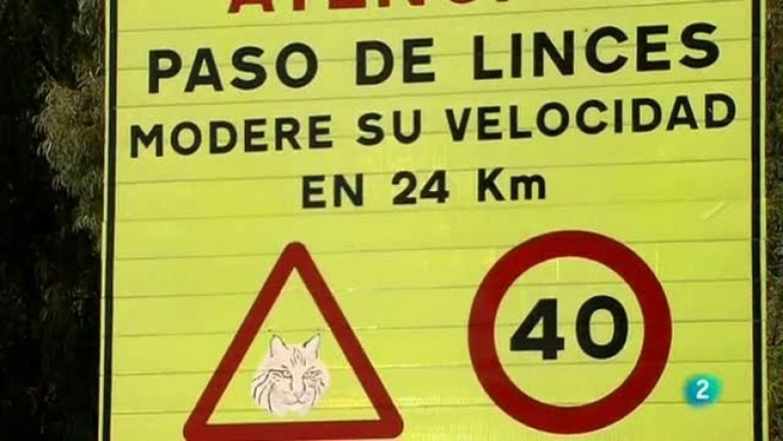 Biodiario - 15/11/11 - Ver ahora