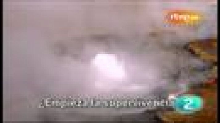 Archivos Tema - Ecología (avance)