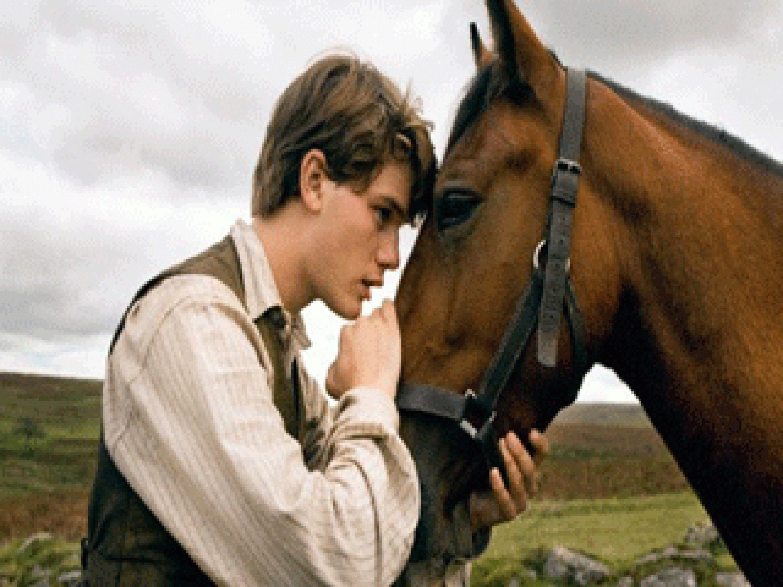 La aventura del Saber: Warhorse trailer | RTVE Play