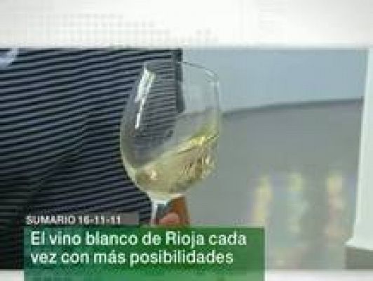 Informativo Telerioja - Informativo Telerioja - 16/11/11