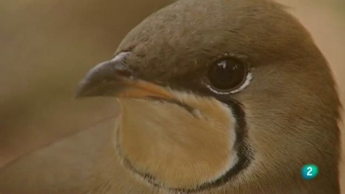 Biodiario - Biodiario -16/11/11