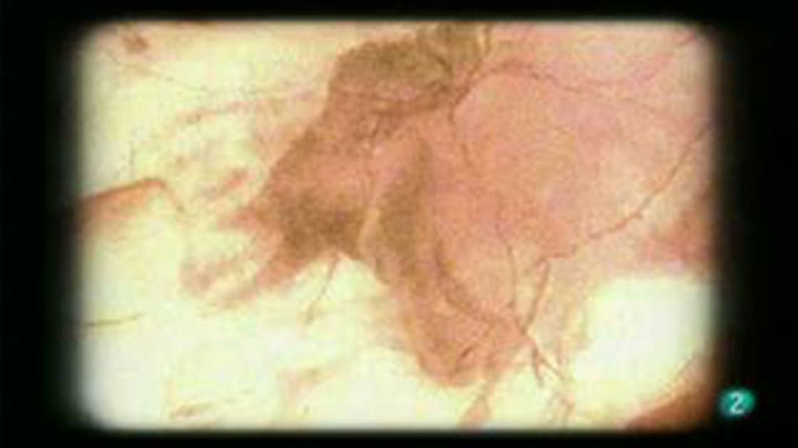 La mitad invisible - Altamira - avance