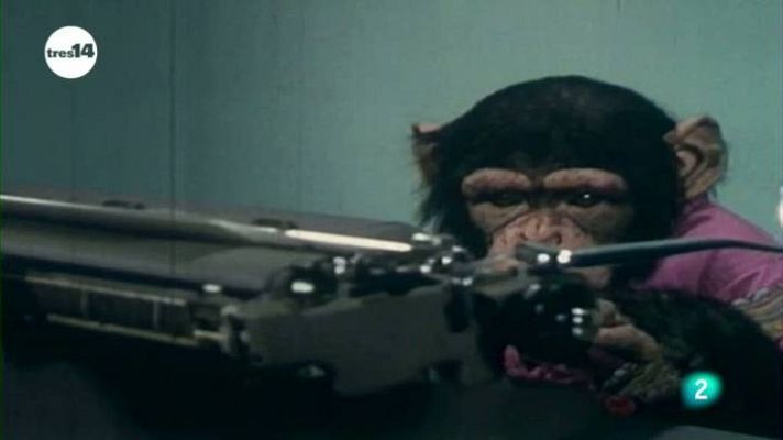 tres14 - Teorema de los infinitos monos