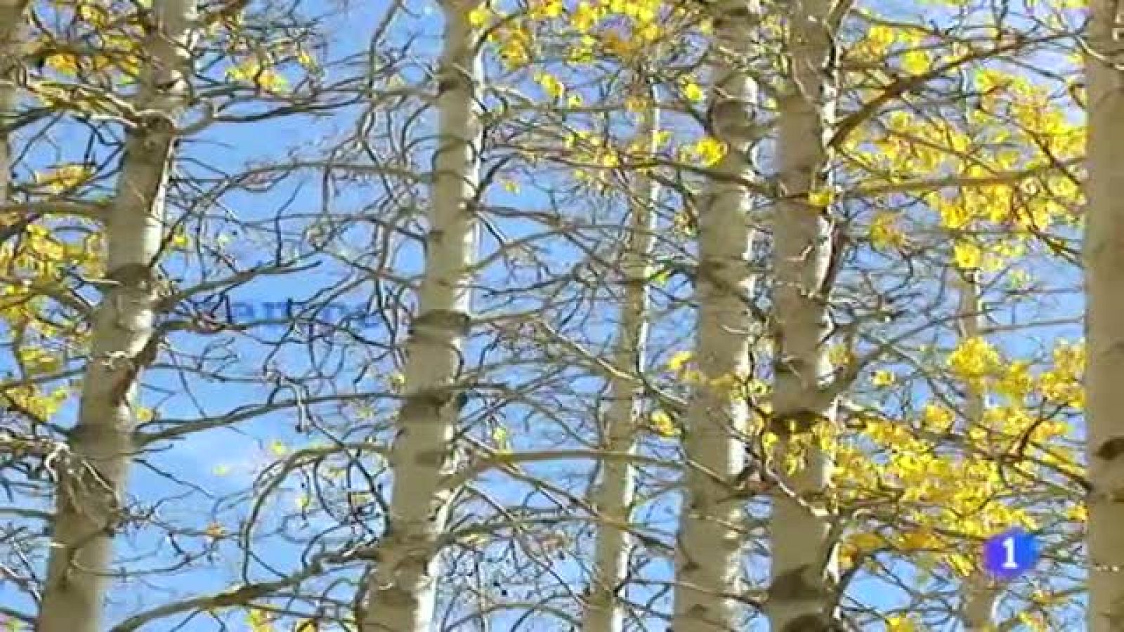 El tiempo en Galicia - 17/11/11