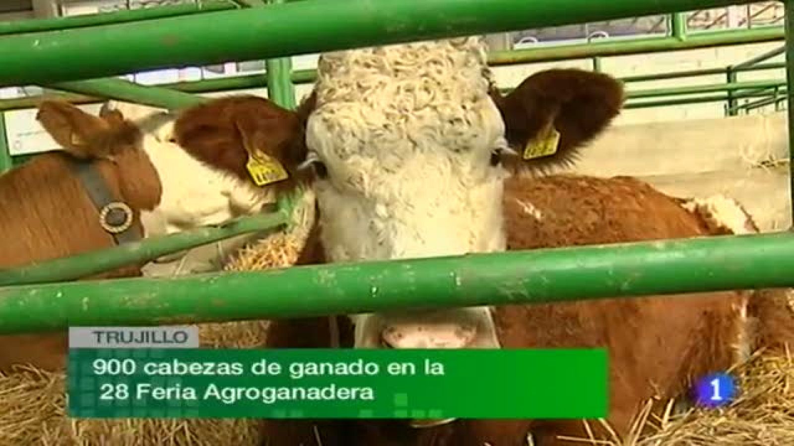 Noticias de Extremadura: Noticias de Extremadura - 17/11/11 | RTVE Play