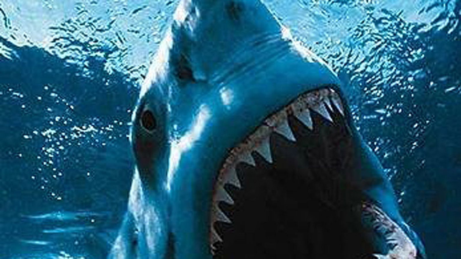 On Off: Jugadores inesperados - On Off | Ver