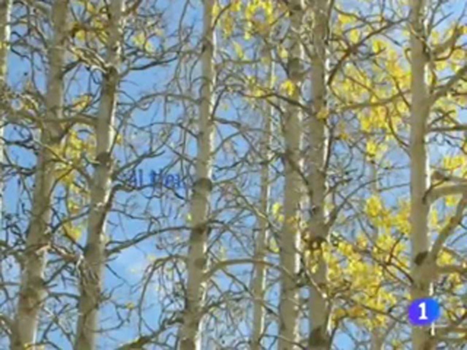 El tiempo en Andalucía - 17/11/11 | Ver