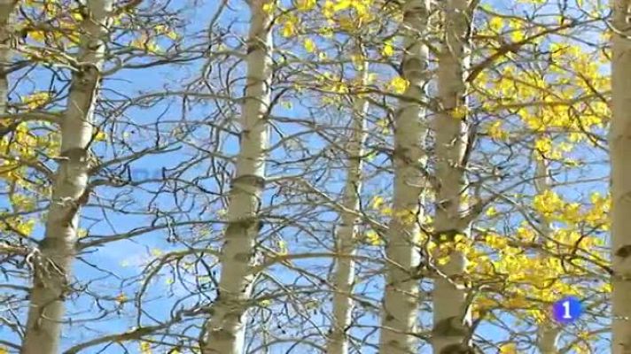 Telexornal - Galicia - El tiempo en Galicia - 18/11/11