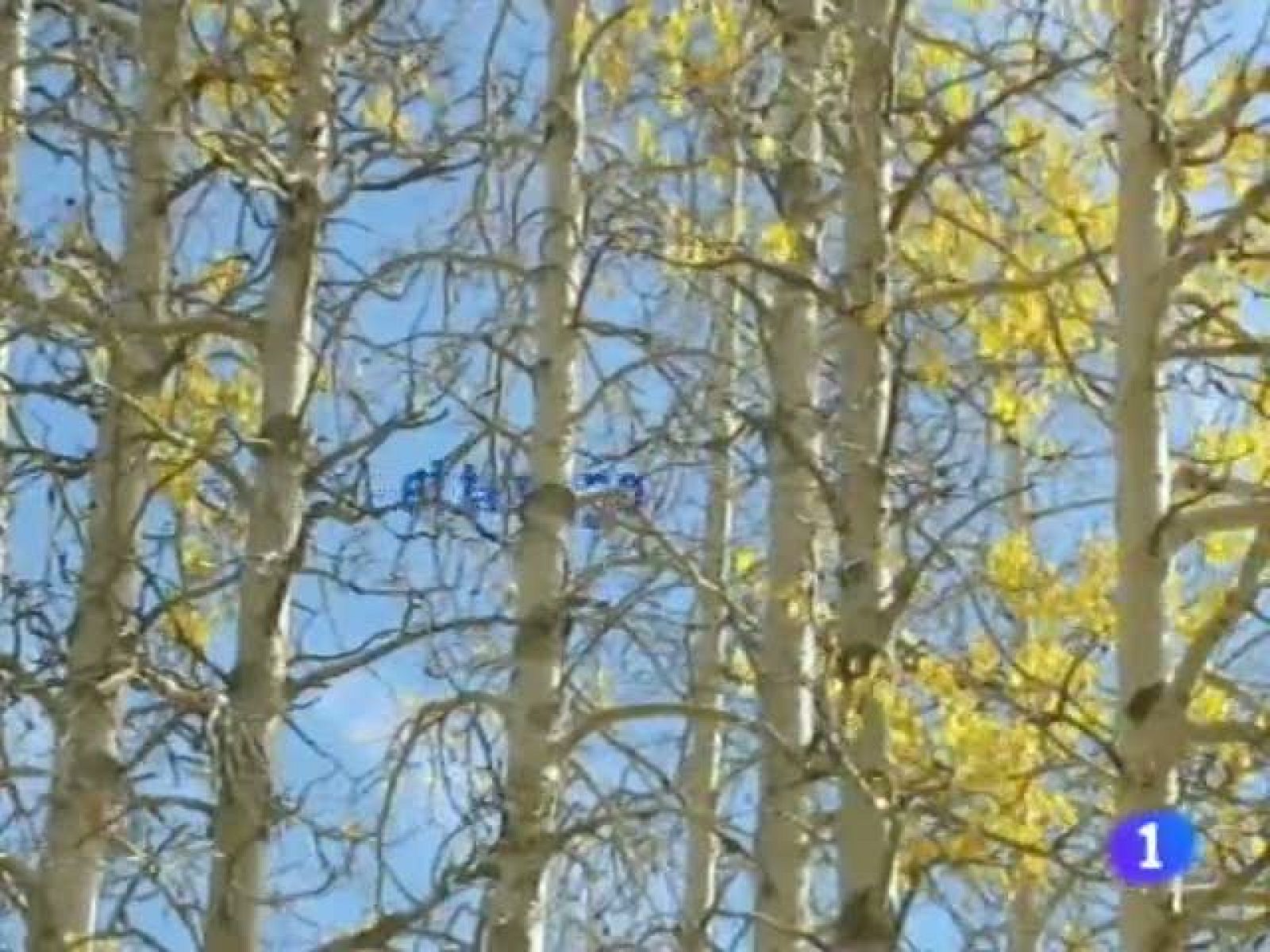 El tiempo en Andalucía - 18/11/11 | Ver