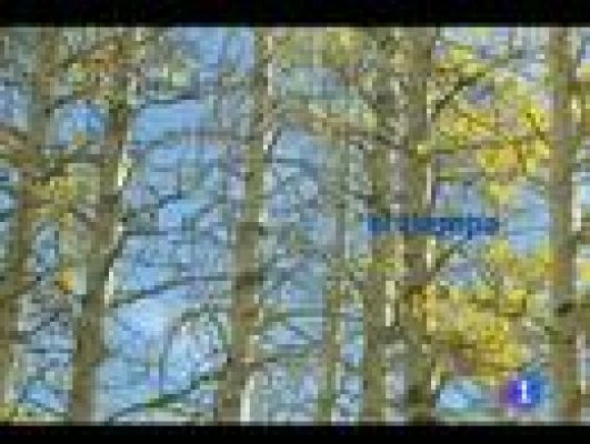 Telecanarias - El tiempo en Canarias - 18/11/11