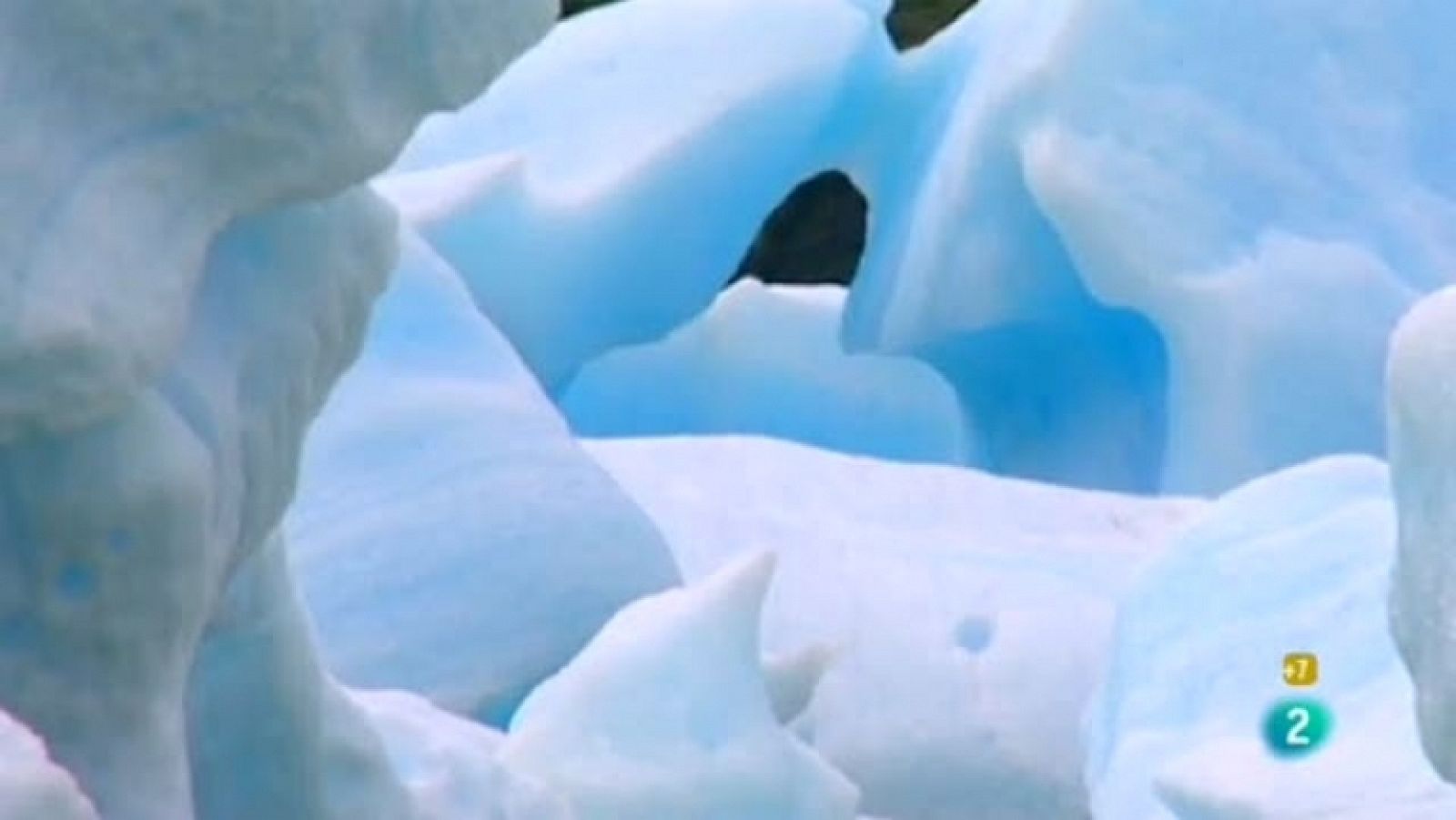 Archivos Tema - Termina la vida... ¿comienza la supervivencia? - Ver ahora 