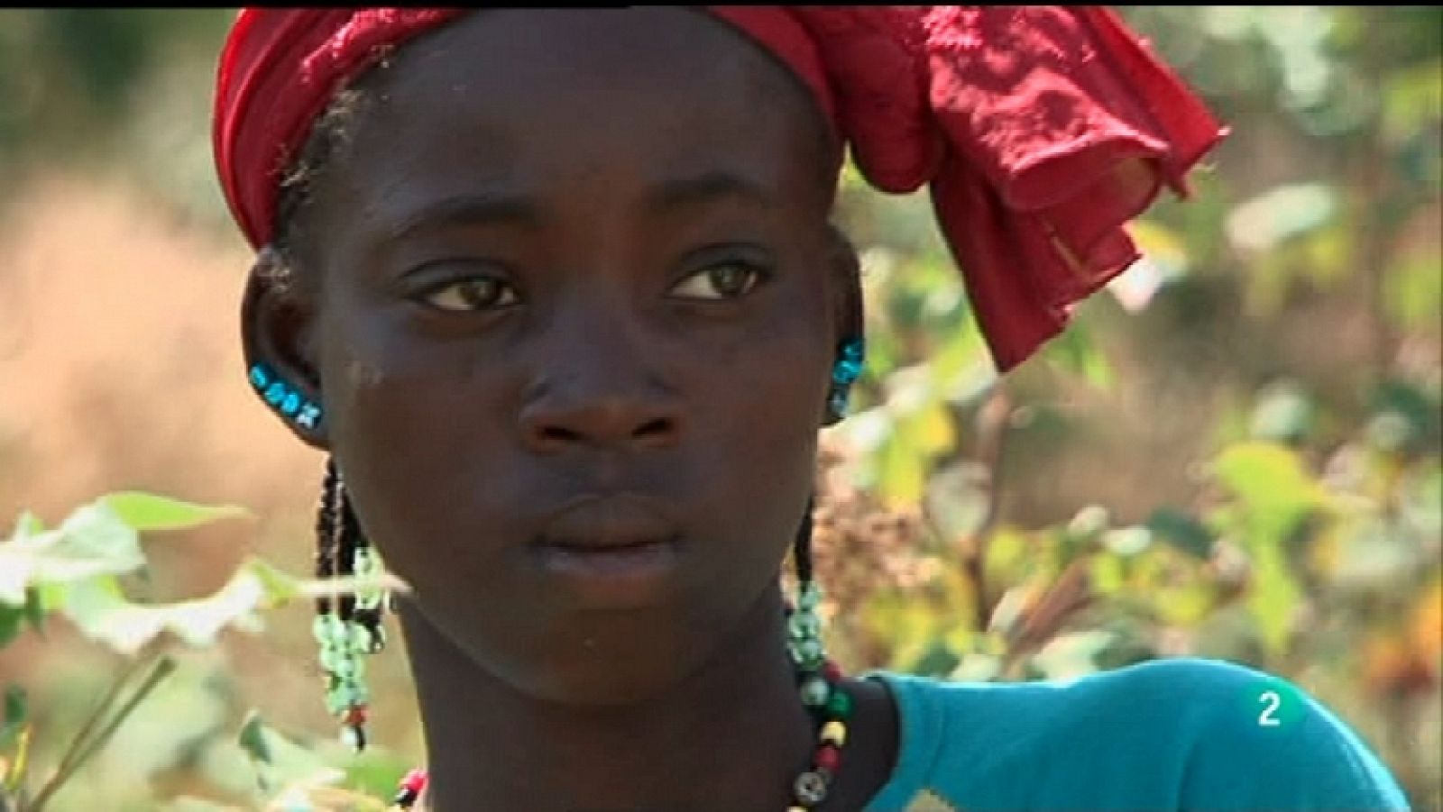 La noche temática - El algodón, la cara oculta del oro blanco - Ver ahora