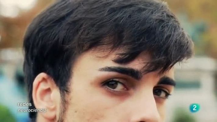 Redes - La fórmula del cerebro