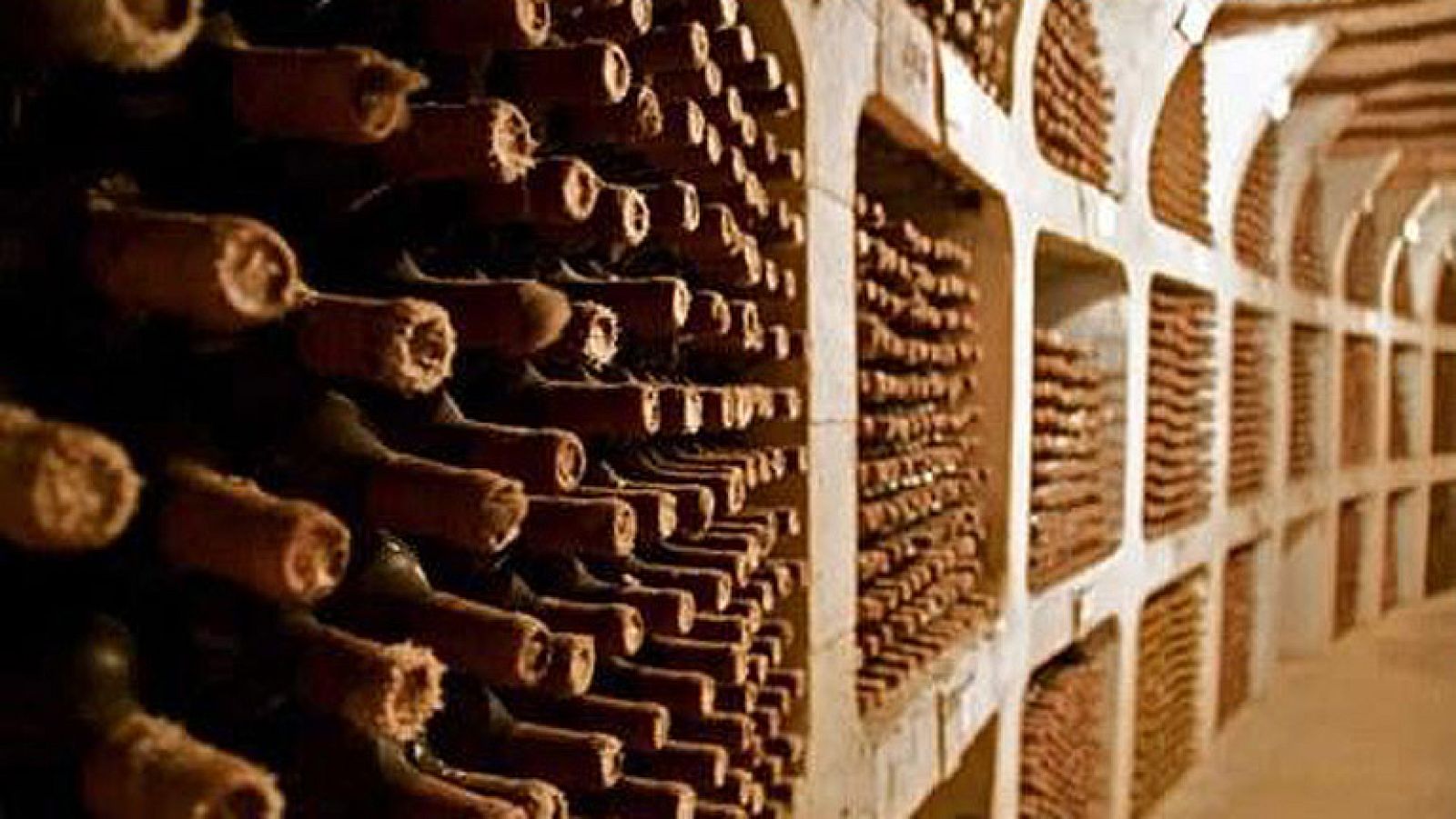 On Off: La bodega más grande del mundo - On Off | Ver