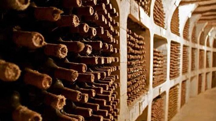 On Off - La bodega más grande del mundo