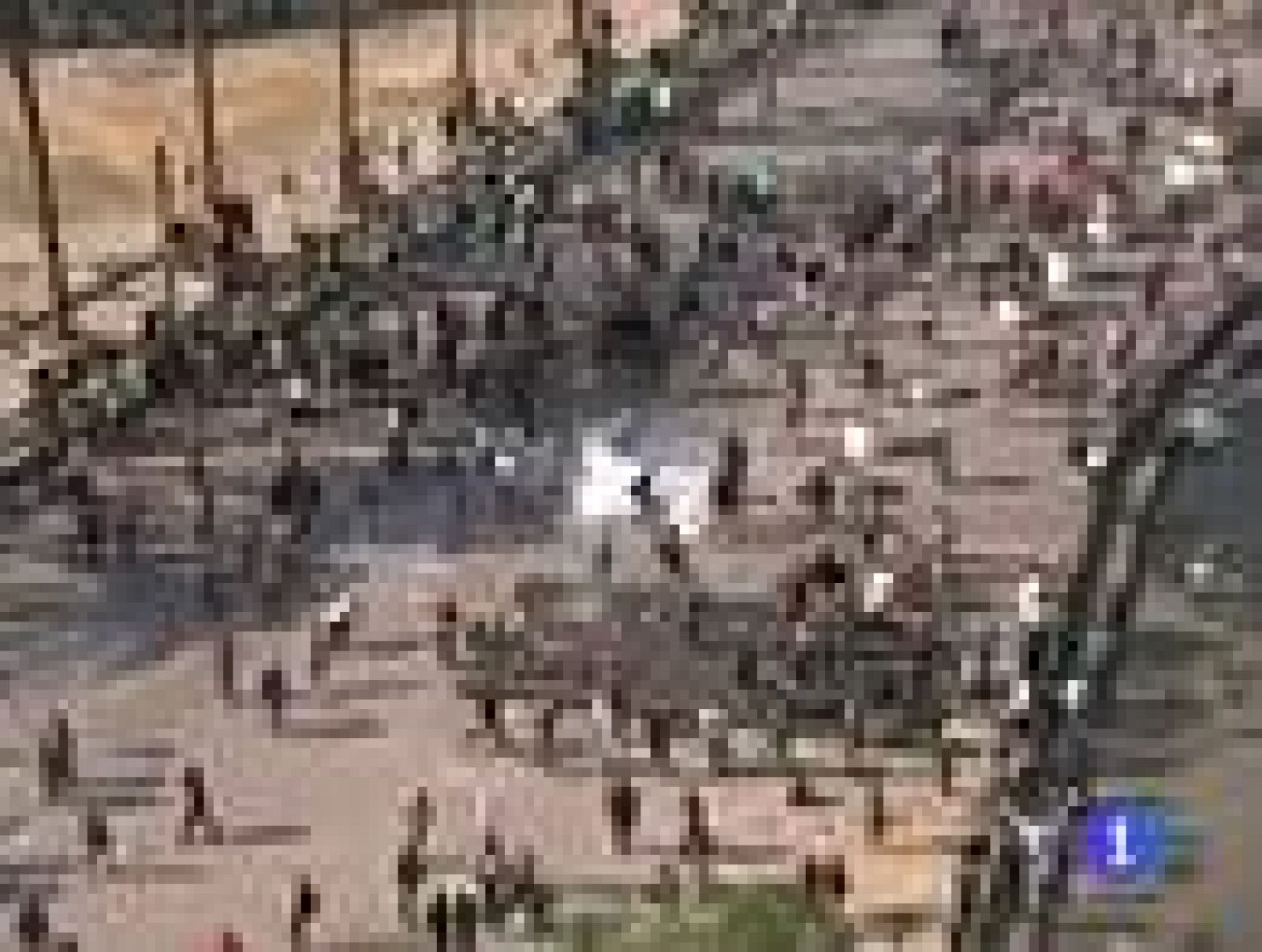 Protestas en Egipto contra el poder de los militares