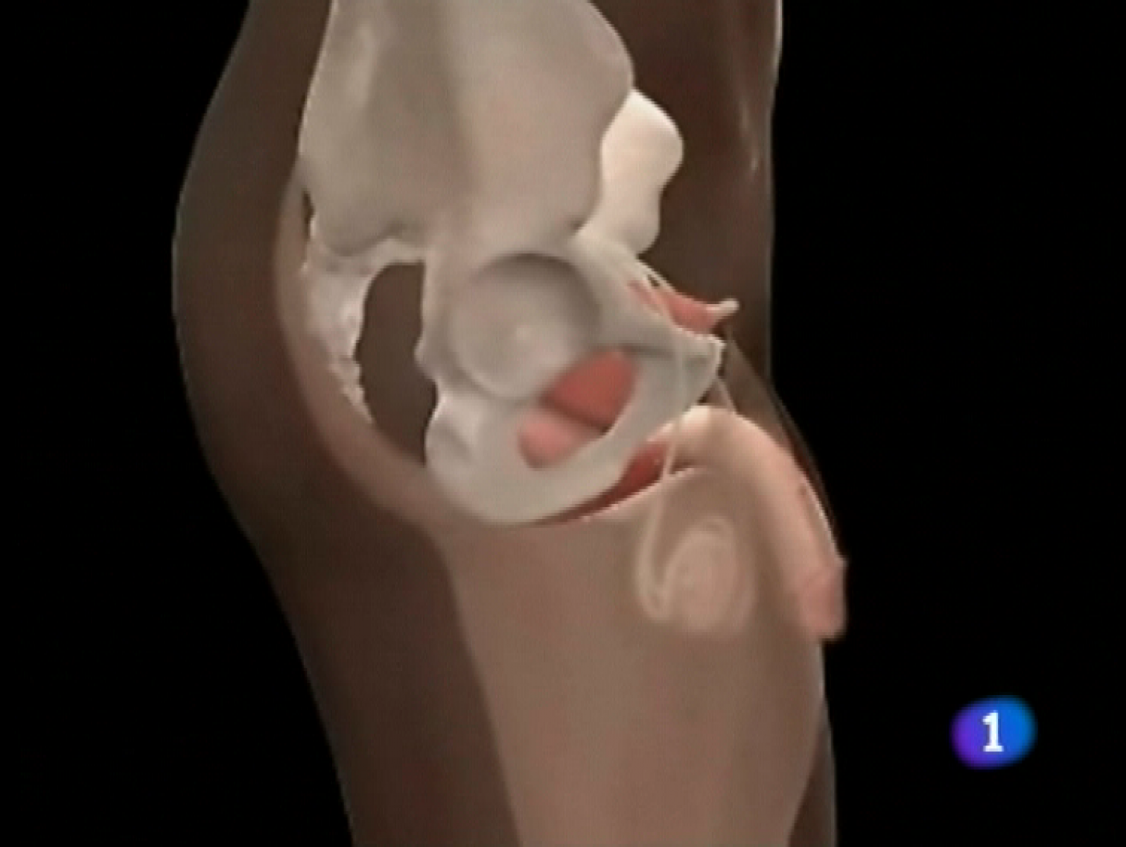 Asturias en 2' - 22/11/11 | Ver