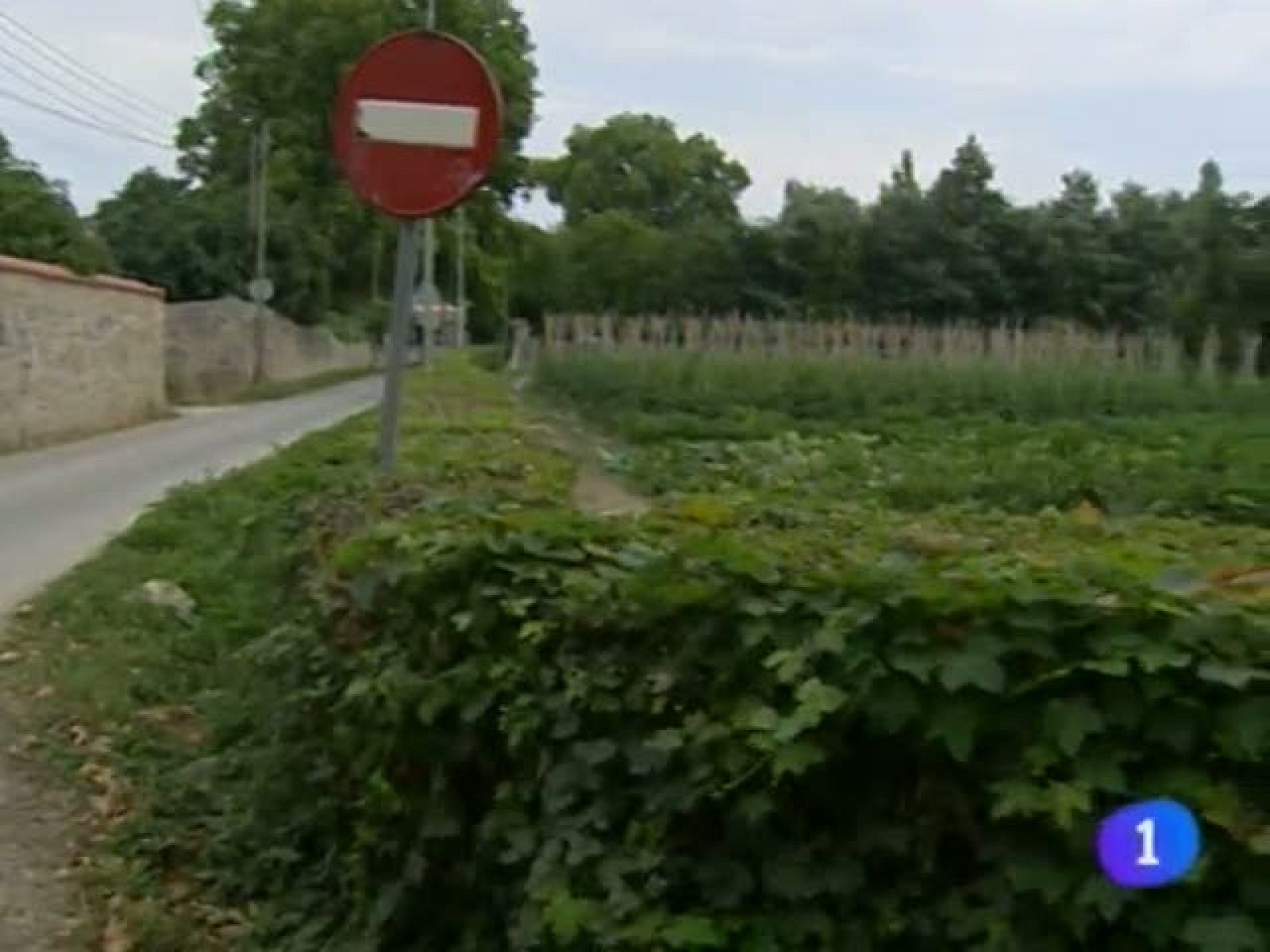 Telenavarra - 22/11/11 | Ver