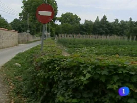 Telenavarra - Telenavarra - 22/11/11