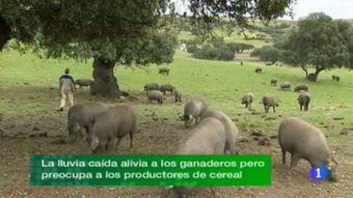 Noticias de Extremadura - 22/11/11