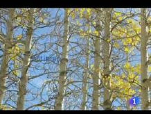 Informativo Telerioja - El tiempo en La Rioja - 22/11/11