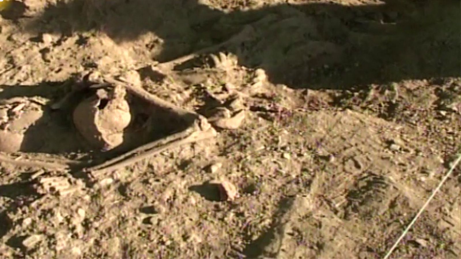 Una tierra  que nunca se cultivó - Crónicas | Ver