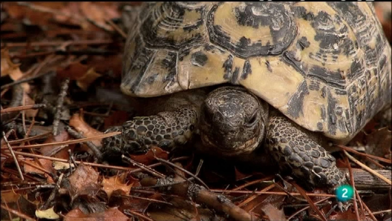Biodiario - 22/11/11 - Ver ahora