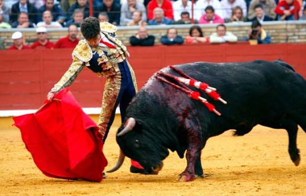  - José Tomas vuelve a Las Ventas