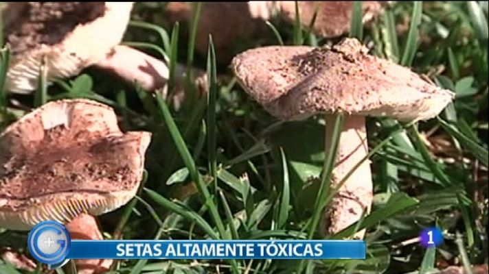 +Gente - Más Gente - 23/11/11