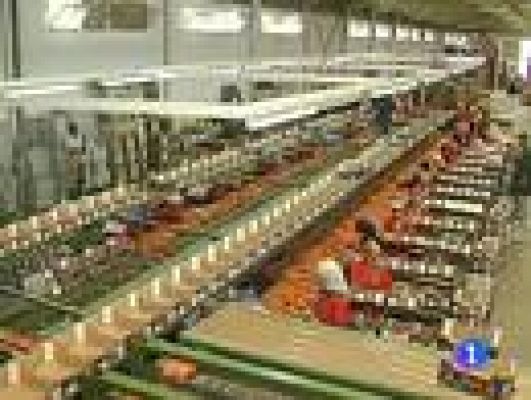 Telediario 1 - ¿ Zona euro en recesión ?