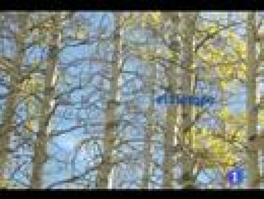 Noticias de Castilla y León - El tiempo en Castilla y León - 24/11/11