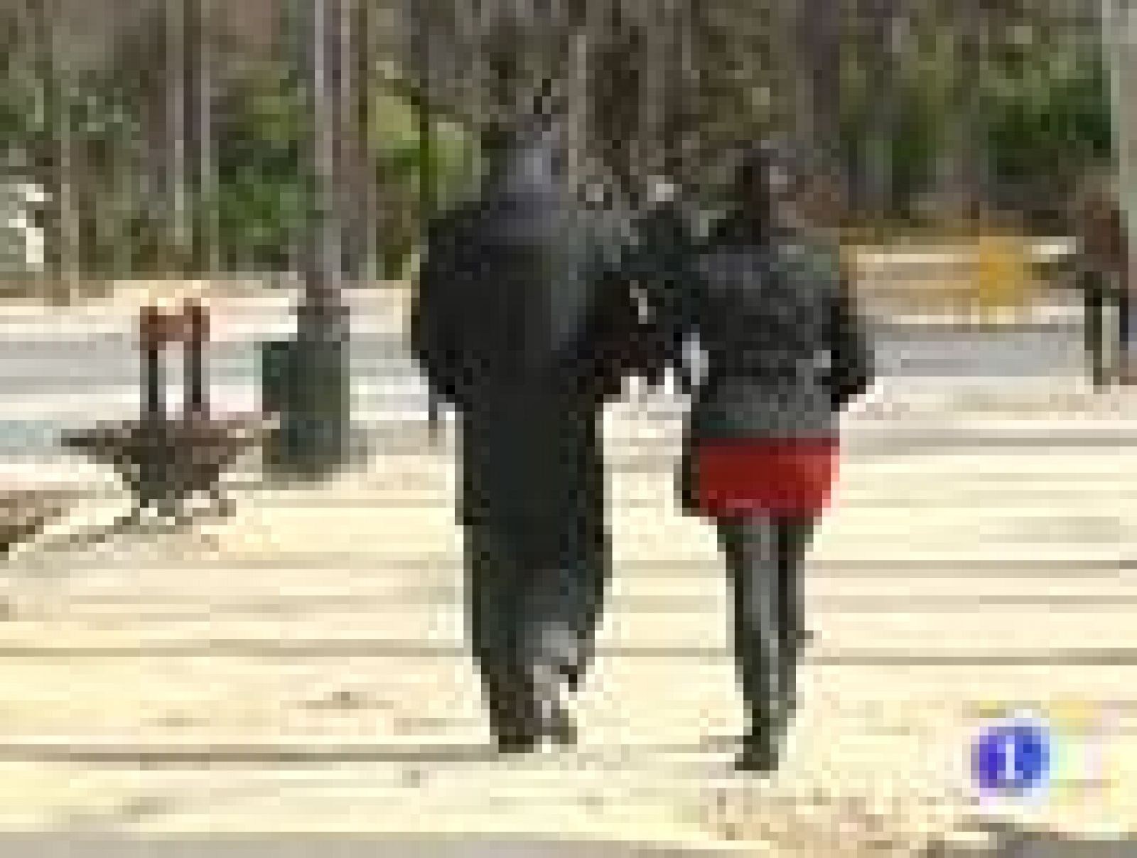 Estudio sobre actitudes de pareja realizado por la Federación de Mujeres Progresistas