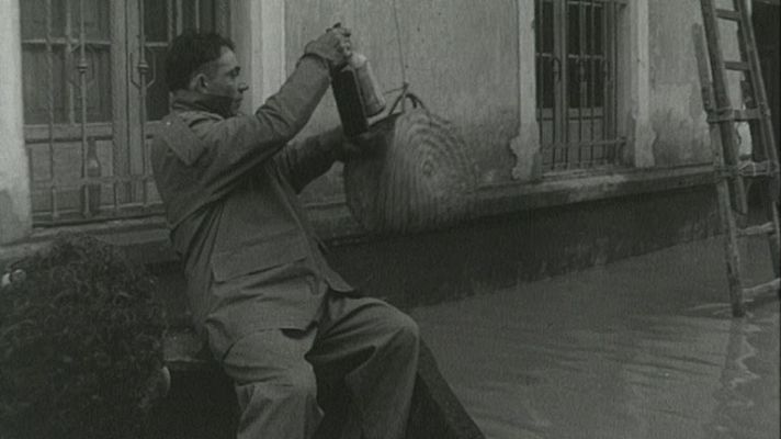 ¿Te acuerdas? - Operación clavel