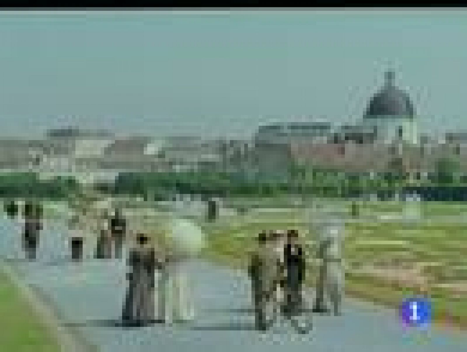 "El Gato con Botas", principal estreno en la cartelera