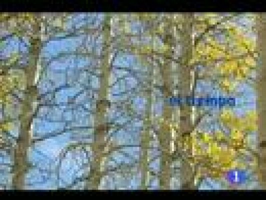 Telecanarias - El tiempo en Canarias - 26/11/11