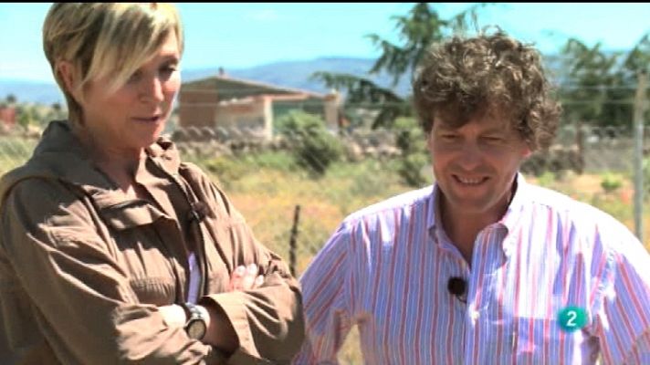 Saca la lengua - Saca la lengua - 26/11/11