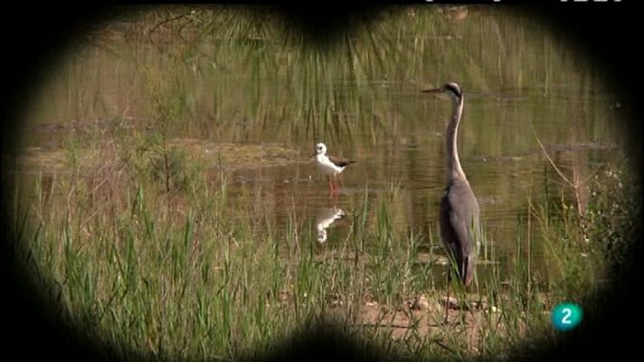 Biodiario - Biodiario - 27/11/11