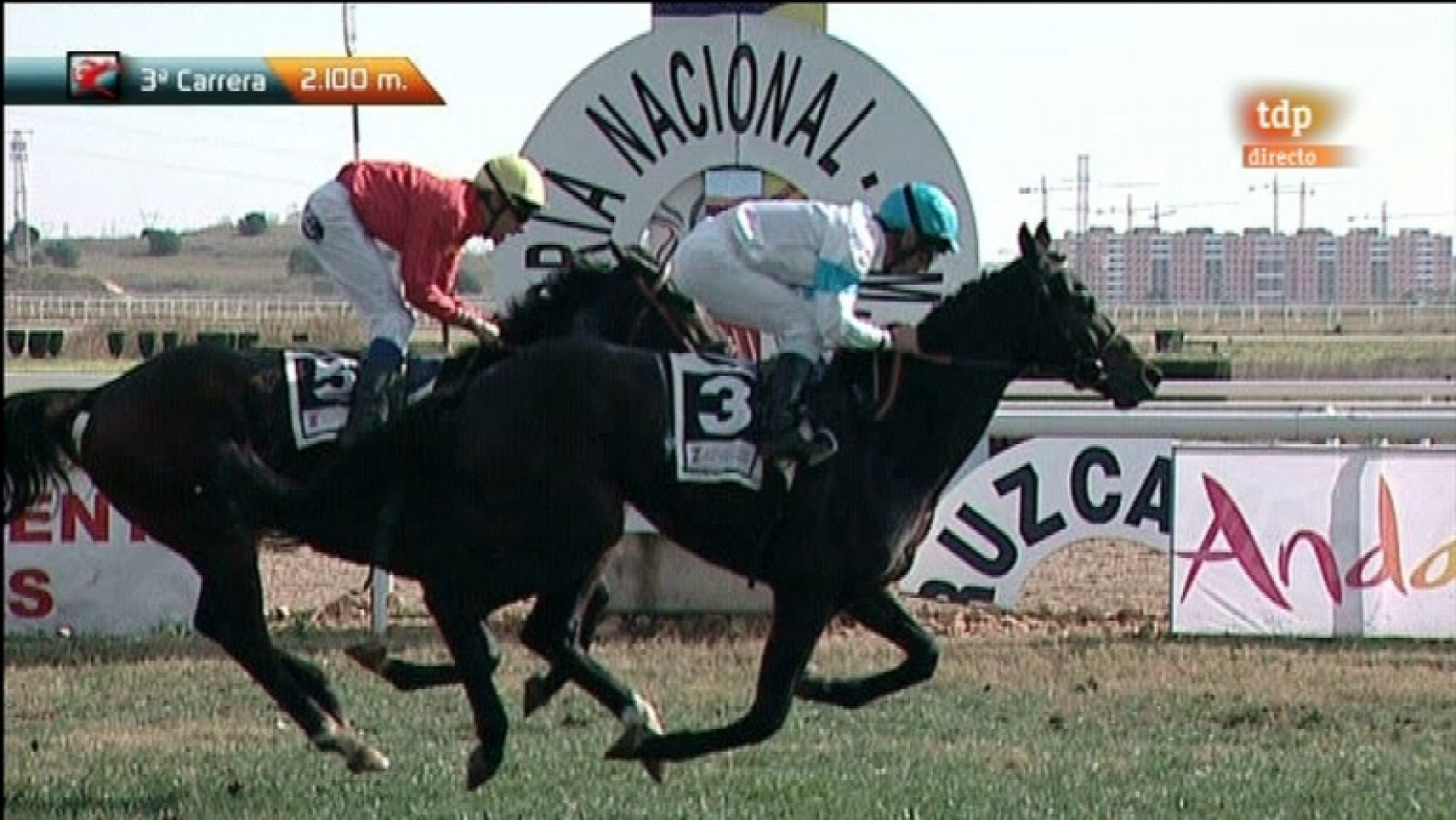 Turf - Carreras de caballos - 27/11/11 - Ver ahora