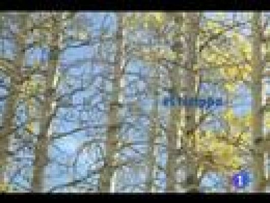 Noticias de Castilla y León - El tiempo en Castilla y León - 28/11/11