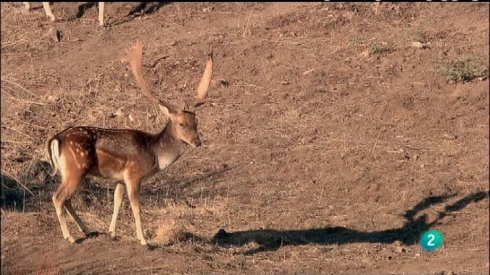 Biodiario - Biodiario - 28/11/11