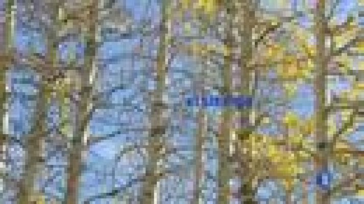 El tiempo - Nieblas persistentes en el nordeste