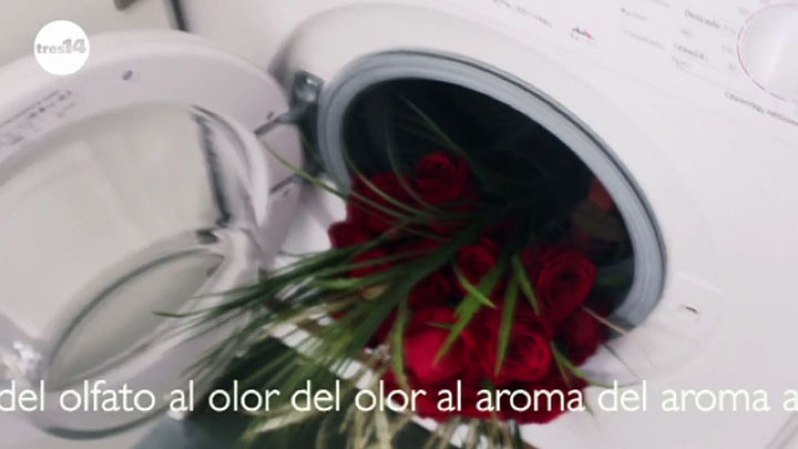 tres14 - Olfato - avance
