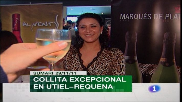 L'informatiu - Comunitat Valenciana - La Comunidad Valenciana en 2' - 29/11/11